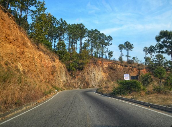 Top conseils pour sélectionner votre scooter électrique idéal